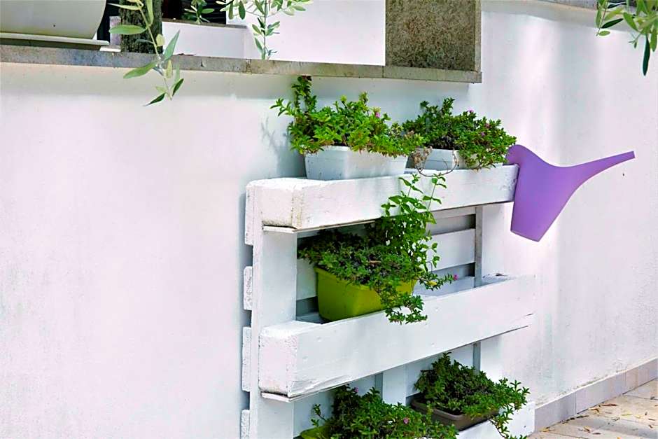 Residence Conchiglia San Giovanni