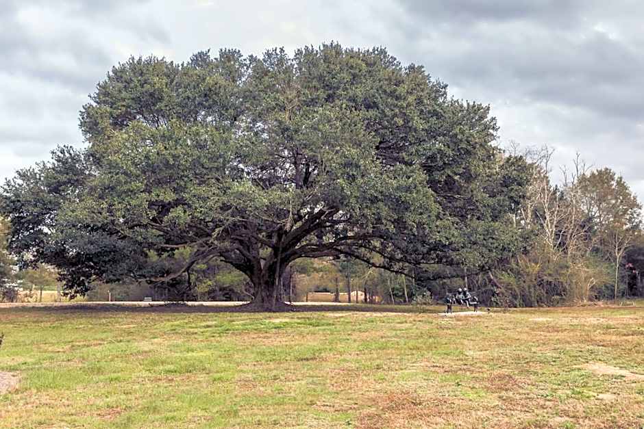 Bienvenue Mon Ami Bed and Breakfast
