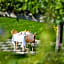 Gasthof Wieser