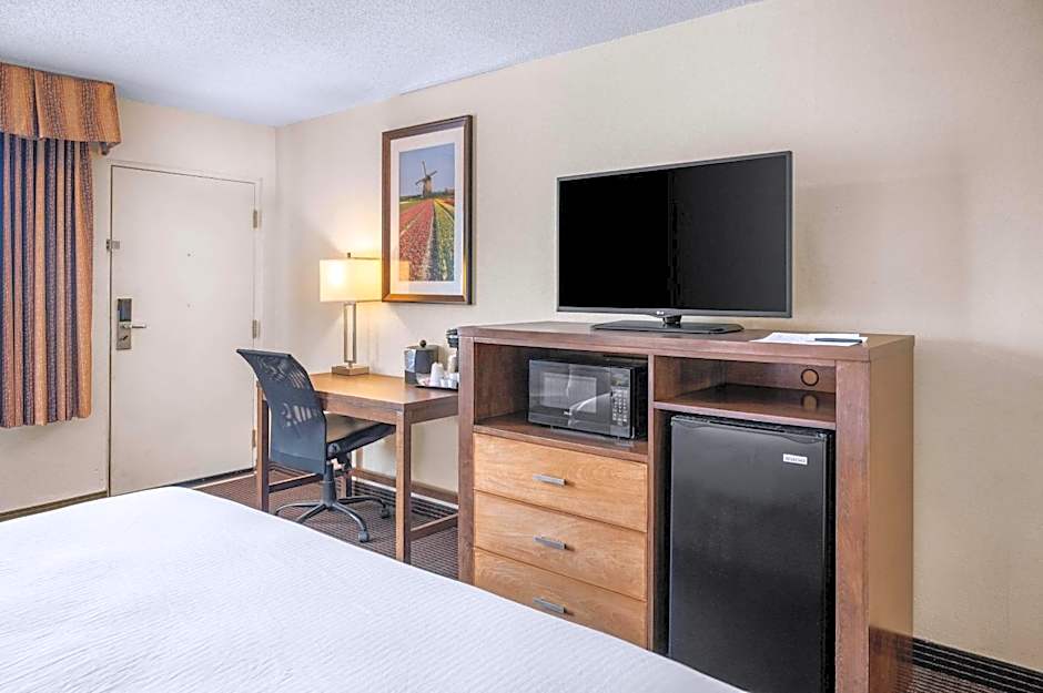 Photo 1 of 5 of 1 King Bed with Sofabed Suite