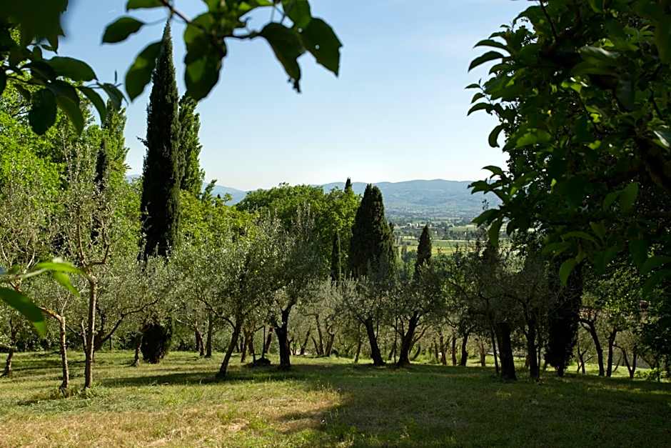 Villa Degli Ulivi