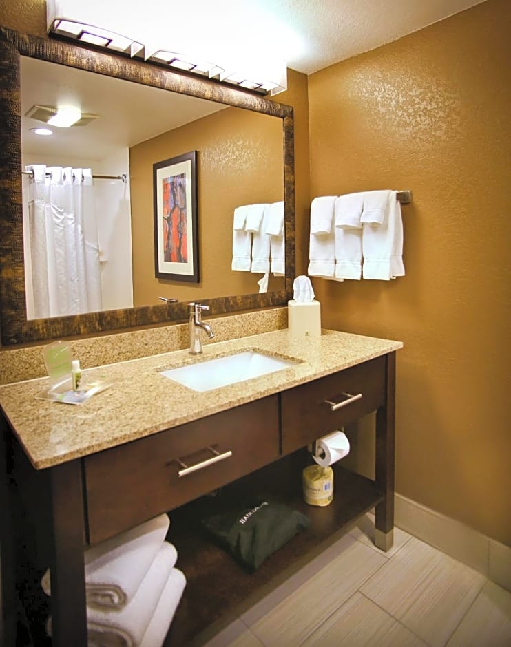 Holiday Inn & Suites Downtown La Crosse, an IHG Hotel