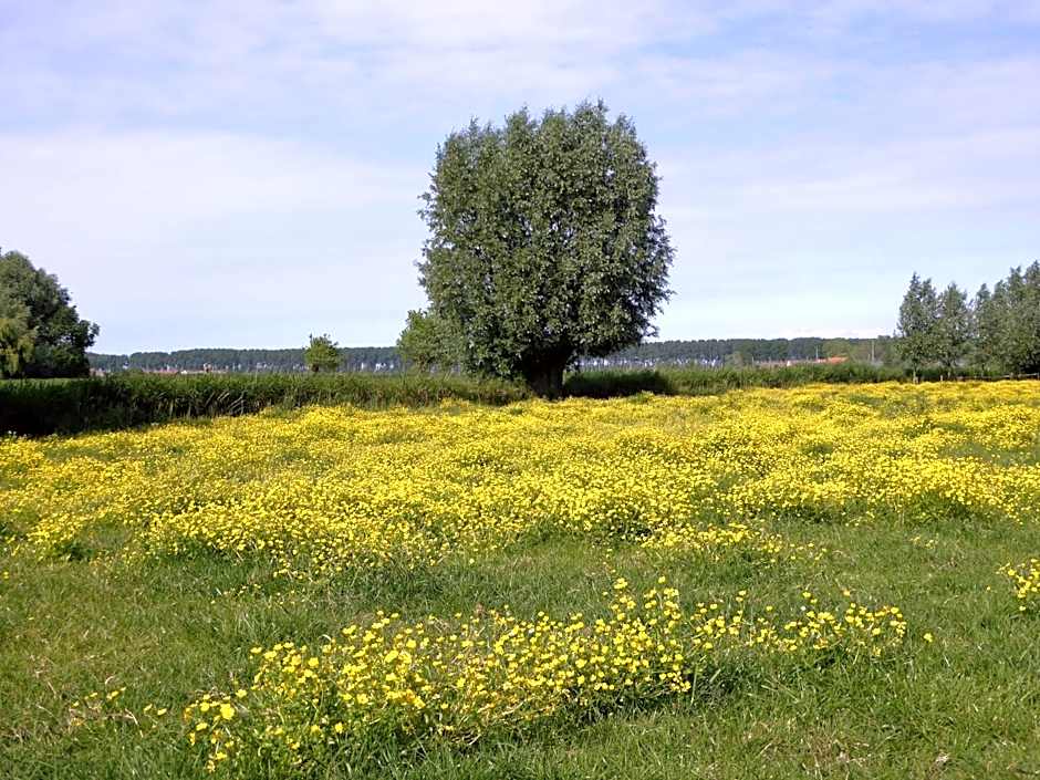 Boutique hotel Het Bloemenhof