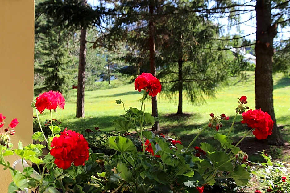 Hotel President garni