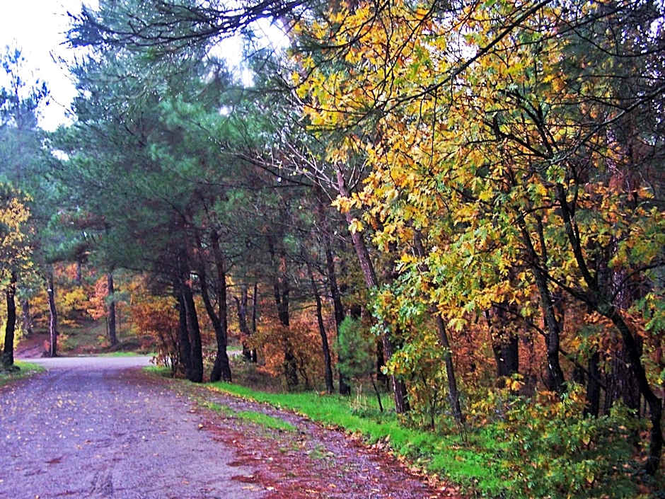 Iliada Hotel Kaz Daglari
