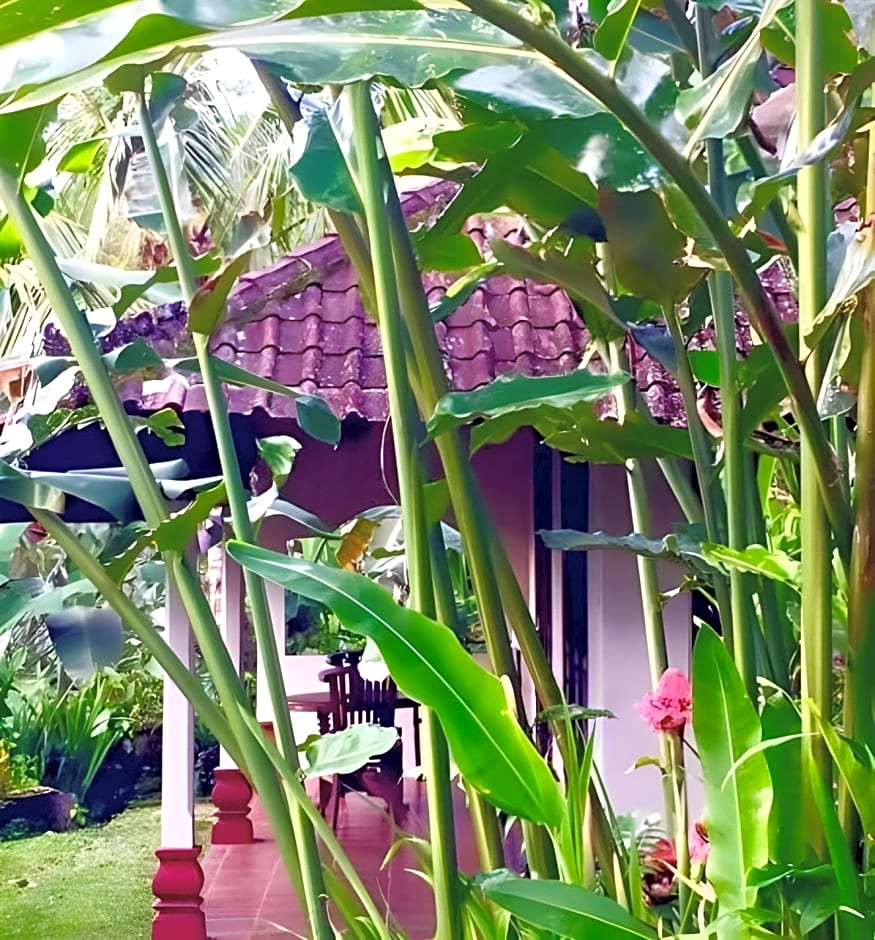 Bali Mountain Retreat