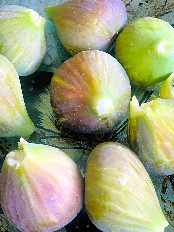 Tannerhof Bed & Breakfast