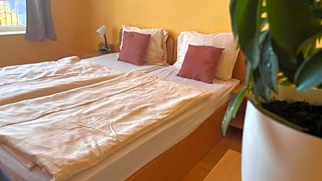 Double or Twin Room with Lake View