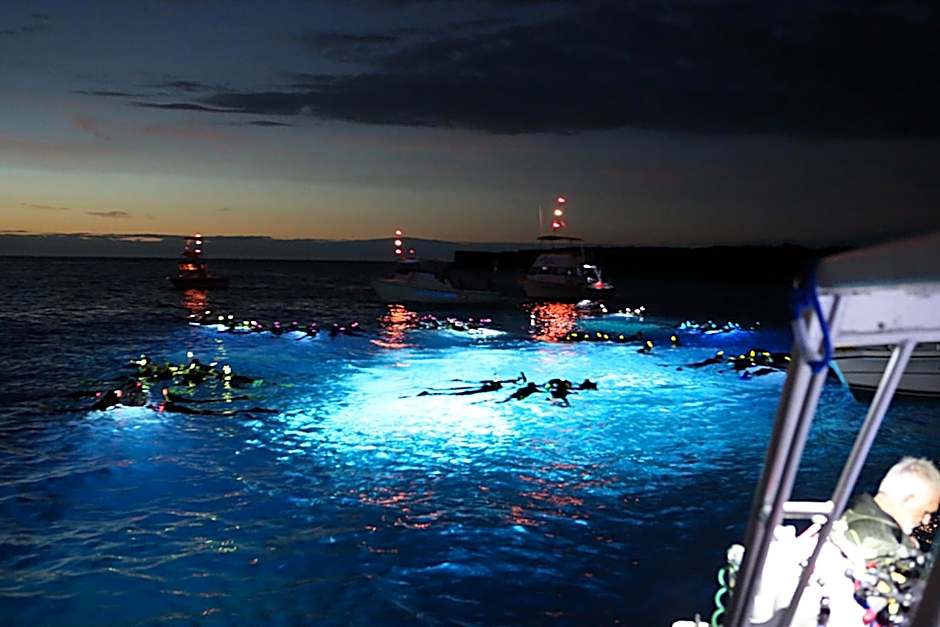 Holiday Inn Express & Suites Kailua-Kona By IHG