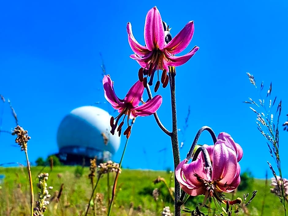 Peterchens Mondfahrt - Wasserkuppe
