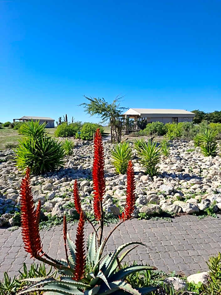Thali Thali Game Lodge
