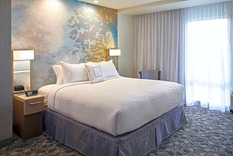 1 Bedroom Suite, 1 King, Sofa bed