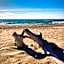 Apartamenty w Marina Royale