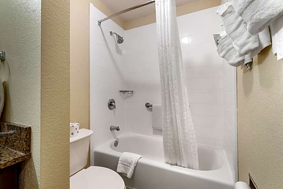 Comfort Inn Asheville East-Blue Ridge Pkwy Access