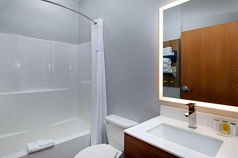 Microtel Inn & Suites By Wyndham Opelika