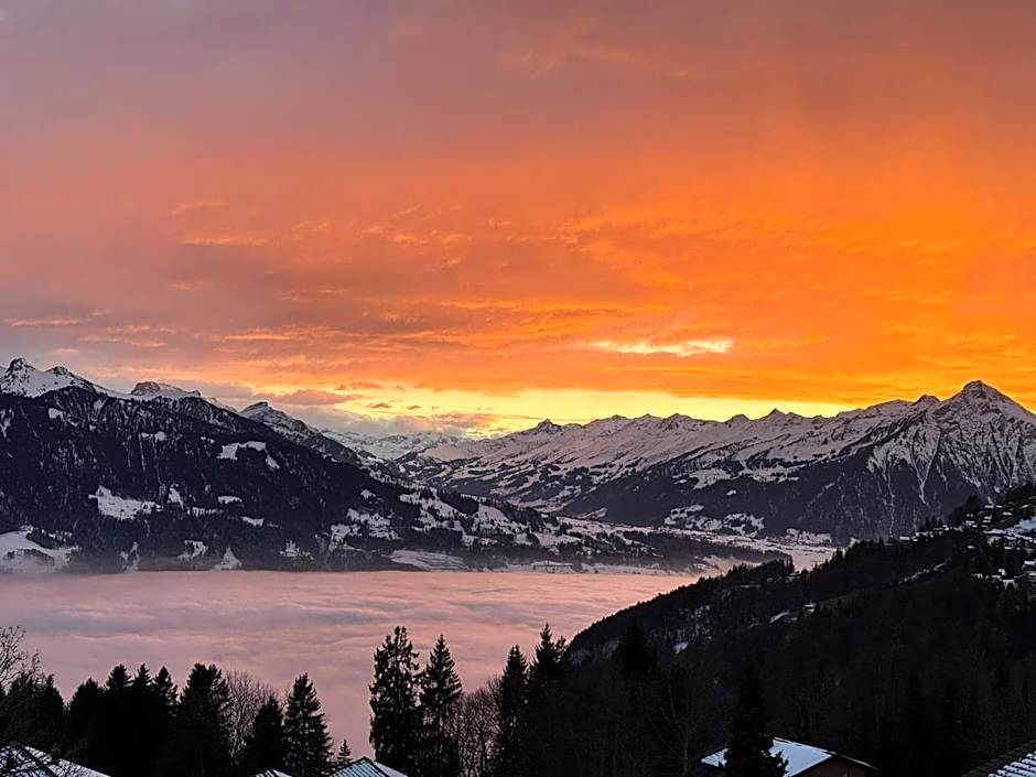 Hotel Fassbind Beausite