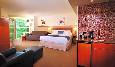 Standard King Room