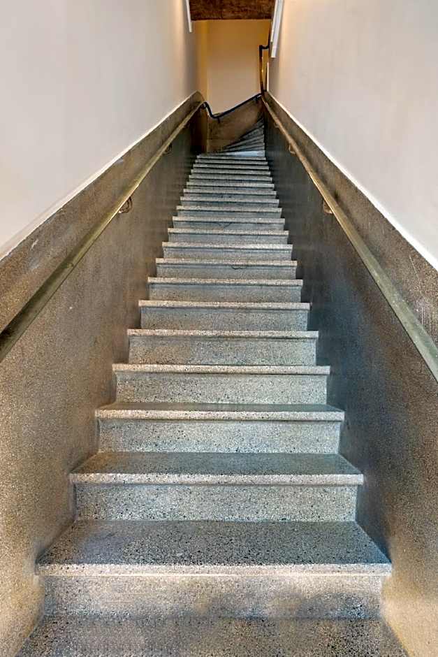 Le Chat Qui Dort - Lille Gare