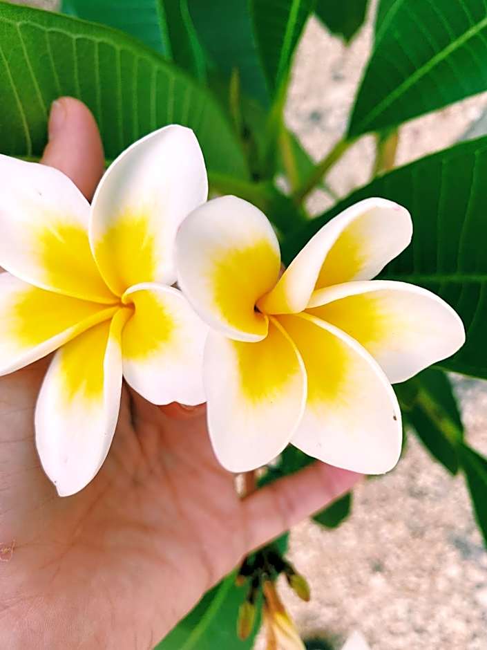 Crystal Beach Nungwi