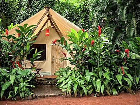 King Luxury Tent