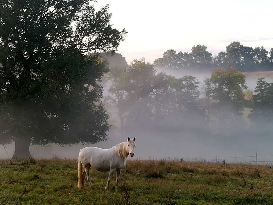 Domaine de Rateau