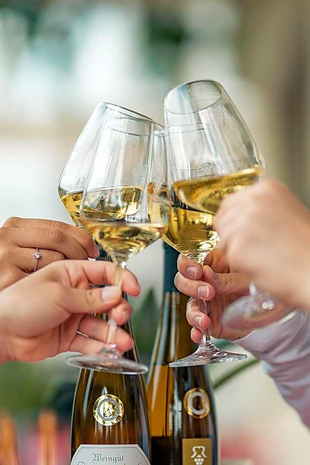 Baudobriga Rheinhotel