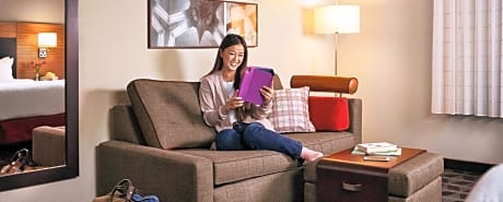 1 Bedroom Suite, 1 King, Sofa bed