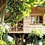 Roots Tree House