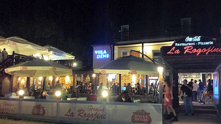 Vila Dini(La Rogojini)