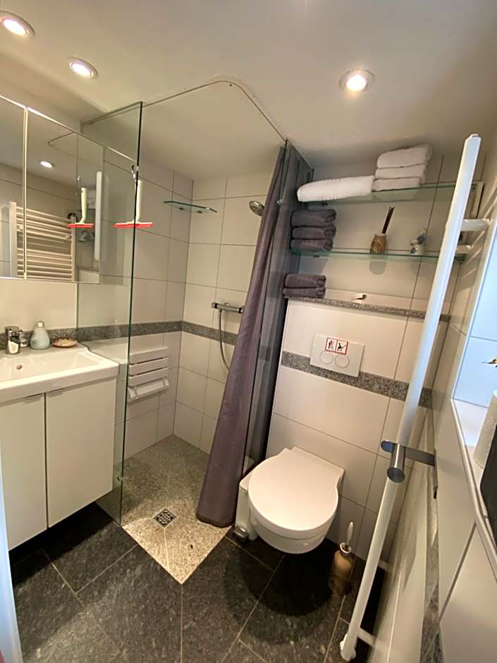 Monteur-Fremdenzimmer - Petit Quartier