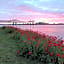 Riverboat Bed & Breakfast