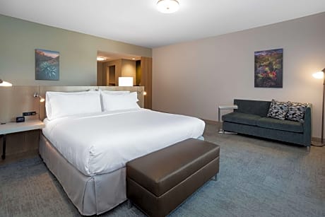 1 King Mobility Accessible W/ Roll In Shower