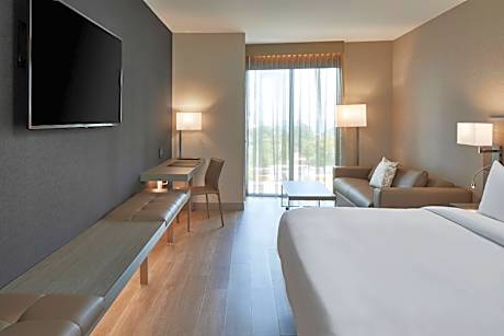 King Room with Sofa Bed - Hearing Accessible