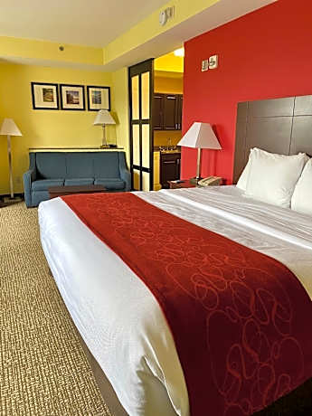 Efficiency King Suite - Accessible/Non-Smoking