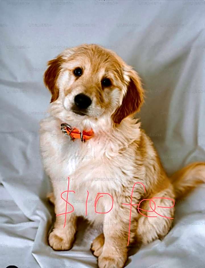 We Love the Bay short stays private suite 1 to 4 days