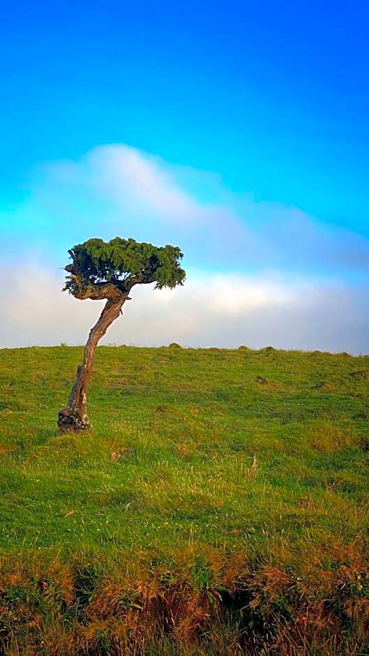 Miradouro da Papalva Guest House - Pico - Azores