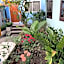 D Heart Homestay