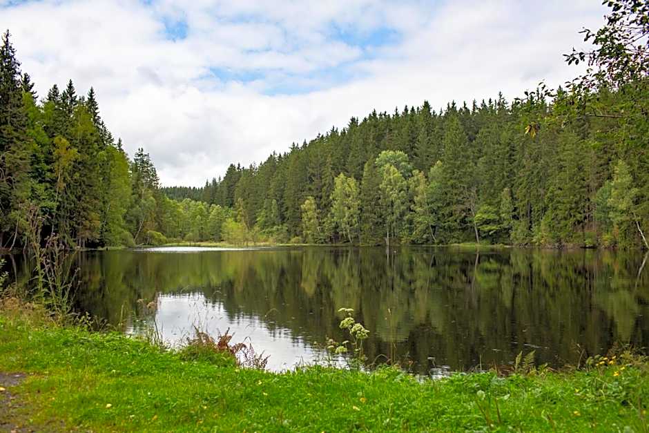 Orea Spa Hotel Cristal