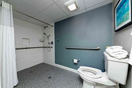 King Suite with Roll-In Shower - Mobility/Hearing Accessible/High Floor