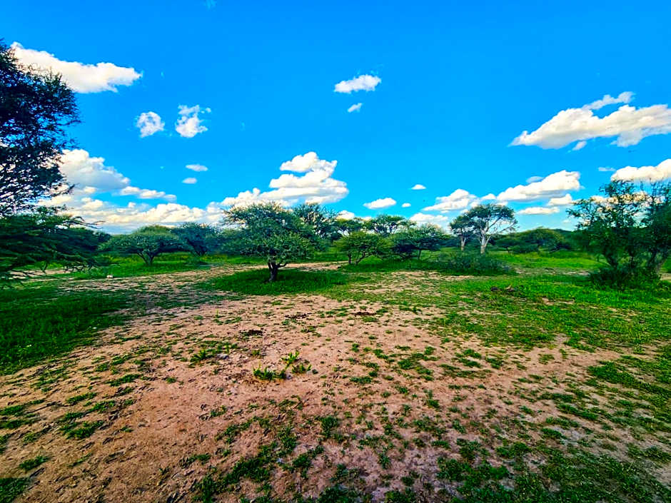 Ditholo Game Lodge Bela Bela