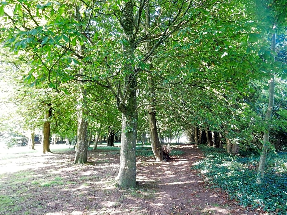 Sheena's Dartmouth Chalets