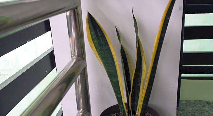 Cebu Backpackers' Hostel