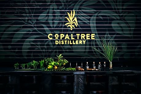 Copal Tree Lodge a Muy'Ono Resort