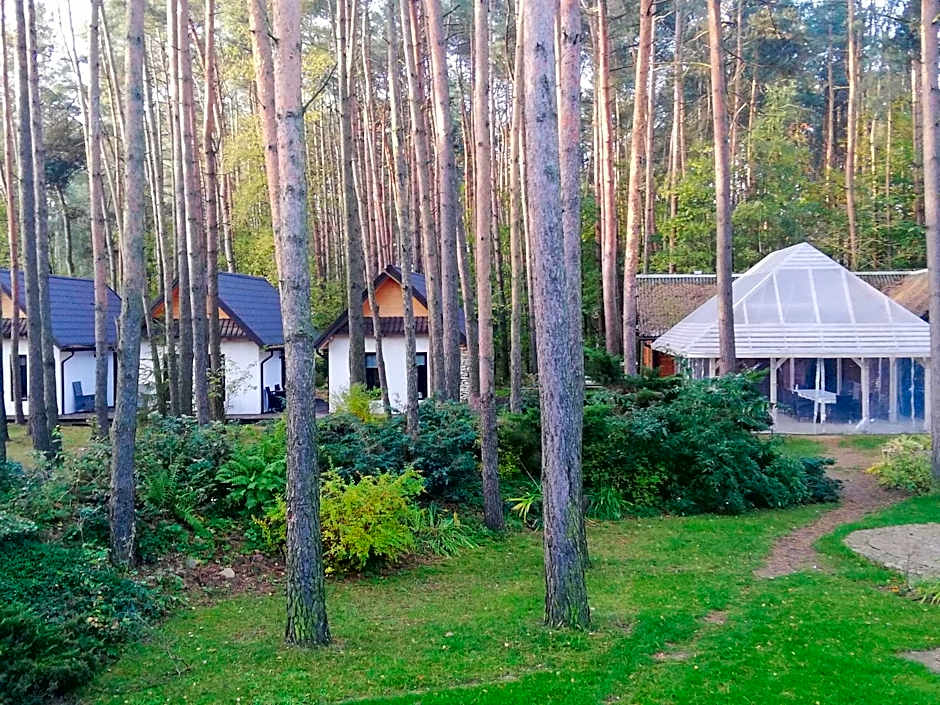 Przystanek Zofiówka