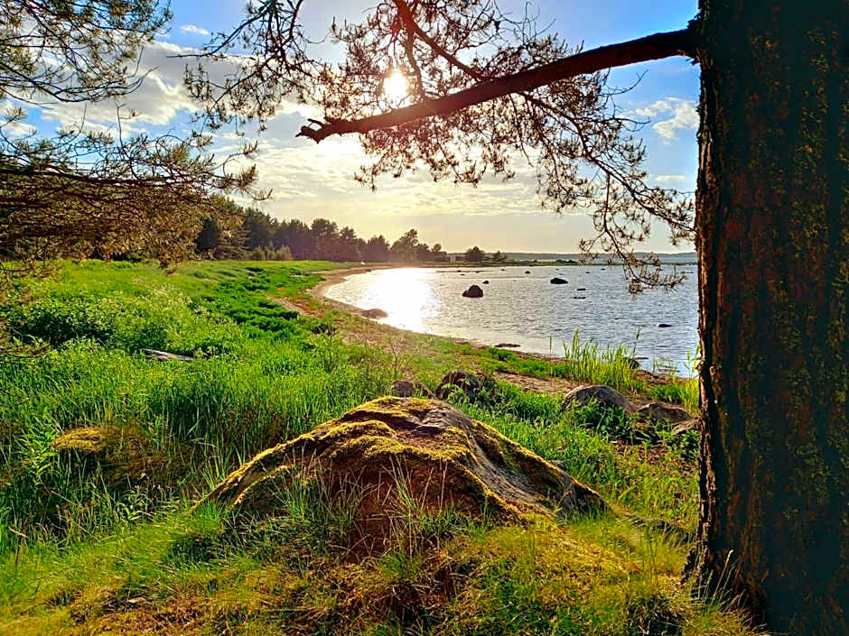 Vergi Sadam & Restoran Wirkes'