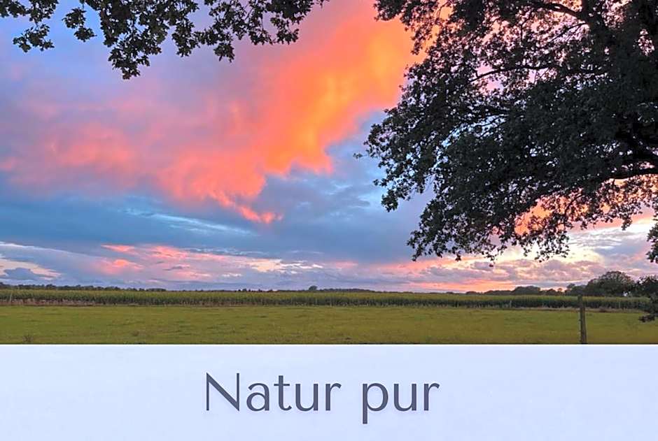 Gutshaus Volzrade Hotel & Ferienwohnungen in Elbnähe