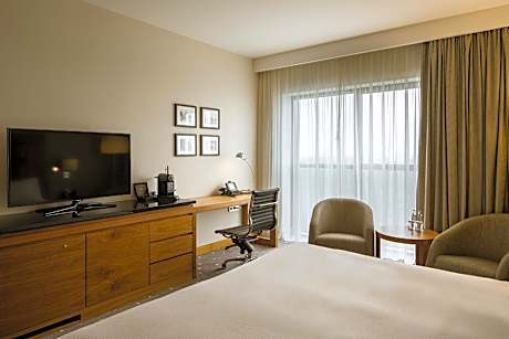 Deluxe King Room with View