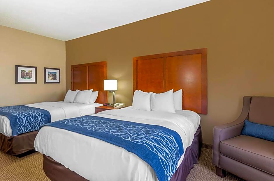 Comfort Inn & Suites Lynchburg Airport - University Area