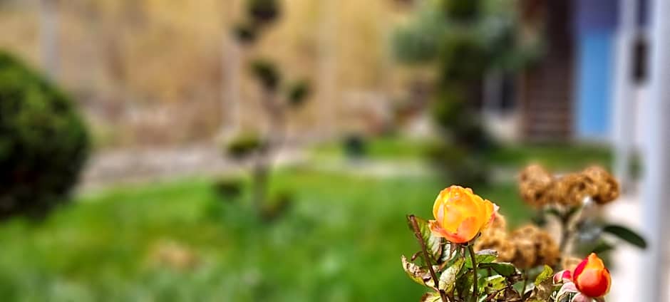 Pensiunea Aurora - Great Hostel Voineasa