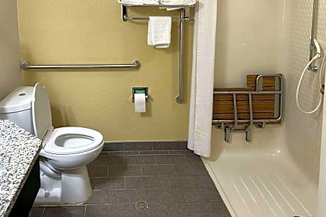 1 King Bed, Nonsmoking, Accessible